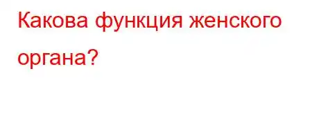 Какова функция женского органа?